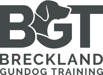 Breckland Gundog Training
