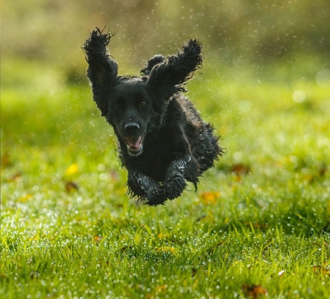 The Silent Connection: