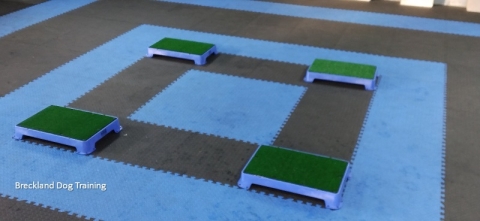 Not such a waste of time !